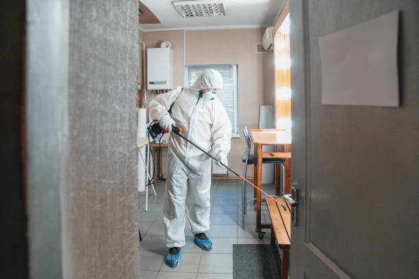 Best Mold Odor Removal Services  in Lake Sconsin, WI